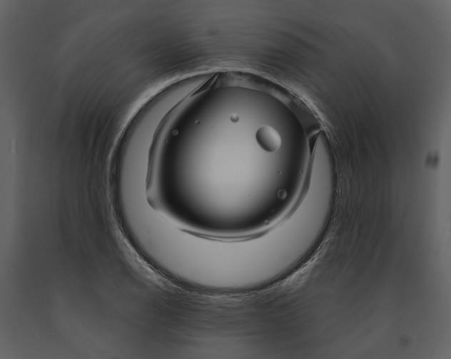 X0000090961126200708241146