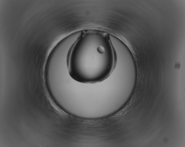 X0000090961128200708241146