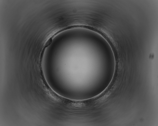 X0000090961129200708241146