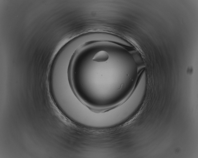 X0000090961130200708241146