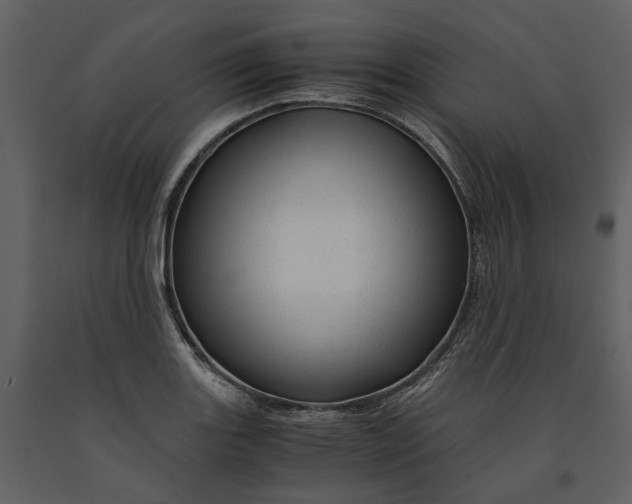 X0000090961131200708241146