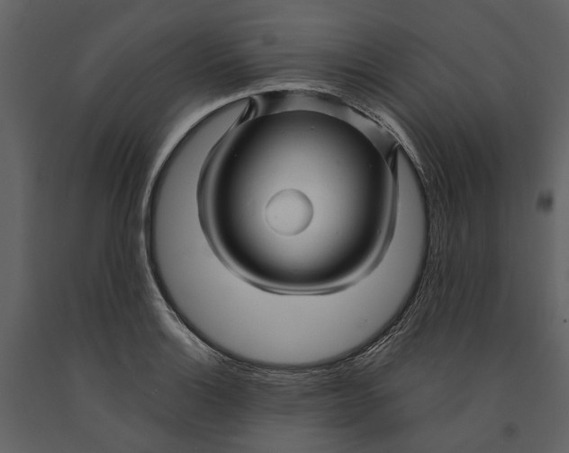 X0000090961132200708241146