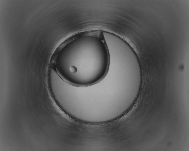 X0000090961134200708241146