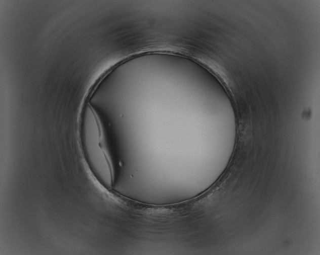X0000090961135200708241146