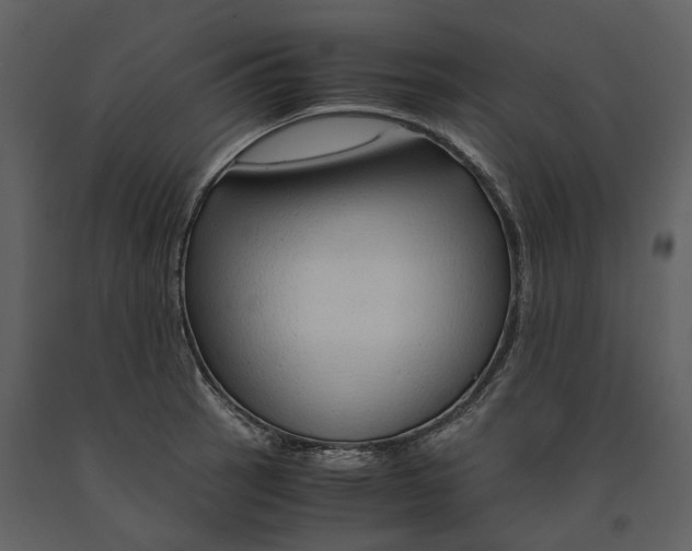 X0000090961137200708241146