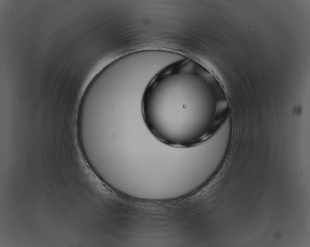 X0000090961138200708241146