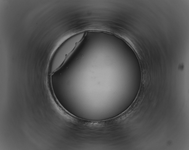 X0000090961139200708241146