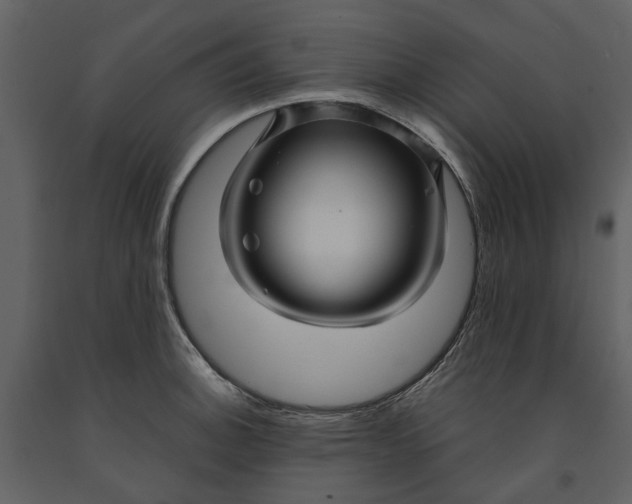 X0000090961140200708241146