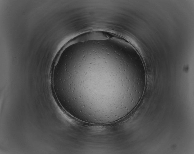 X0000090961141200708241146