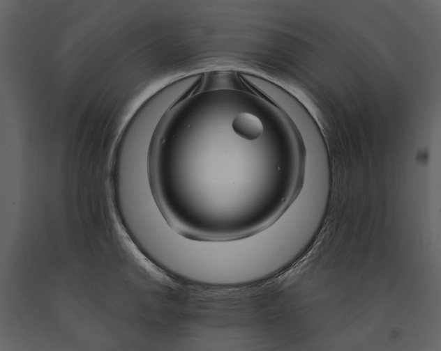 X0000090961142200708241146