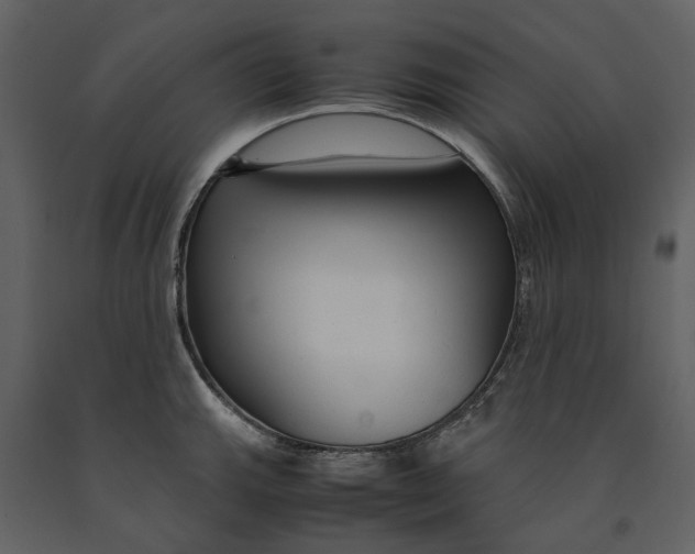 X0000090961143200708241146