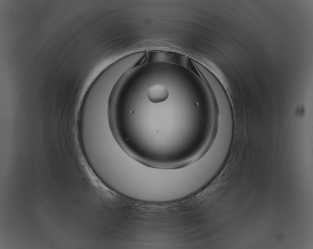 X0000090961144200708241146