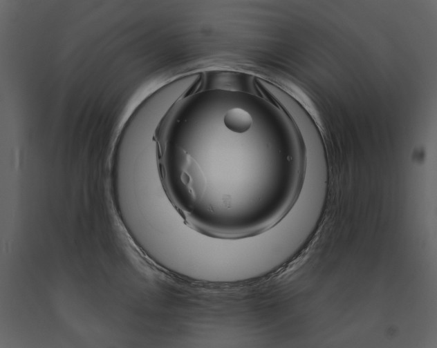 X0000090961146200708241147