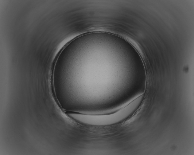 X0000090961149200708241147