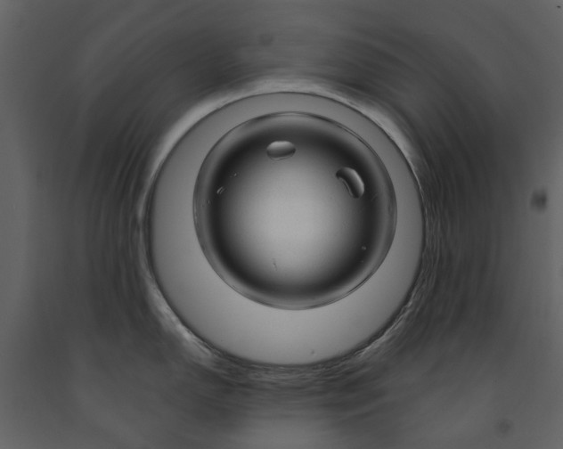 X0000090961150200708241147