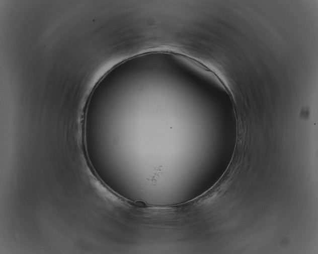 X0000090961151200708241147