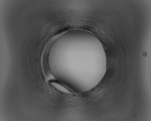 X0000090961153200708241146