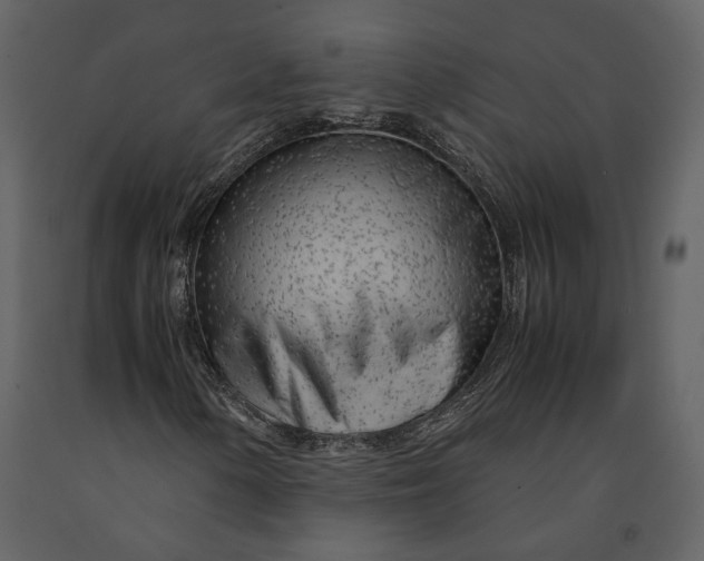 X0000090961154200708241146