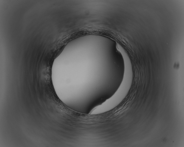 X0000090961156200708241146