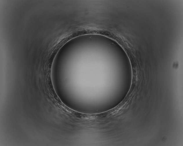 X0000090961157200708241146