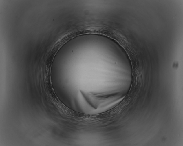 X0000090961158200708241146