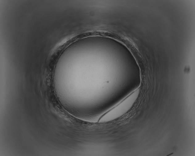 X0000090961159200708241146