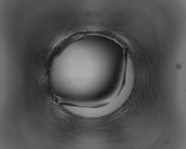 X0000090961160200708241146