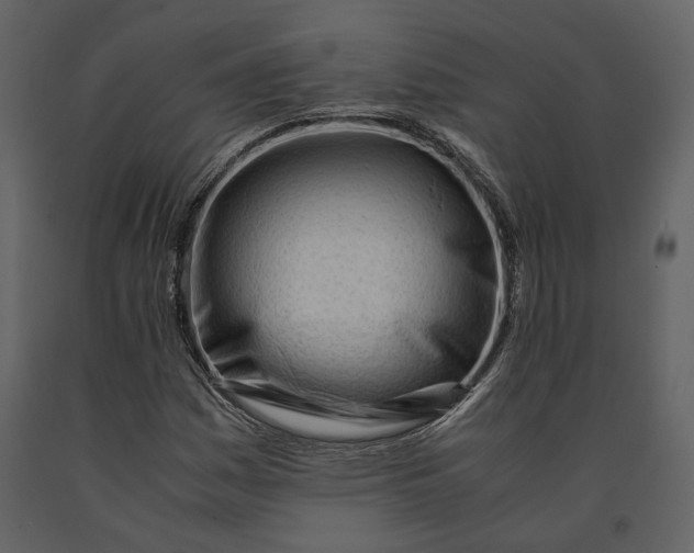 X0000090961161200708241146