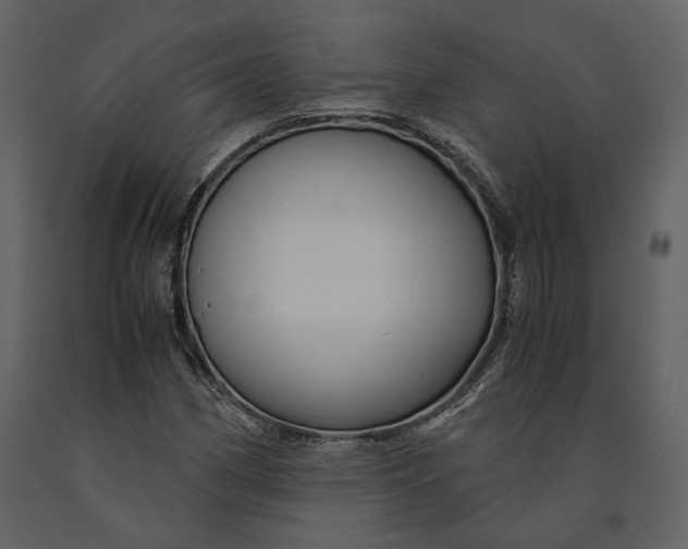 X0000090961162200708241146