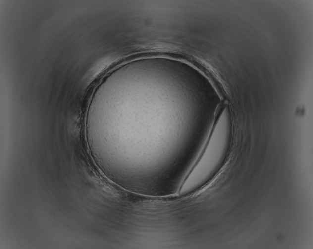 X0000090961163200708241146