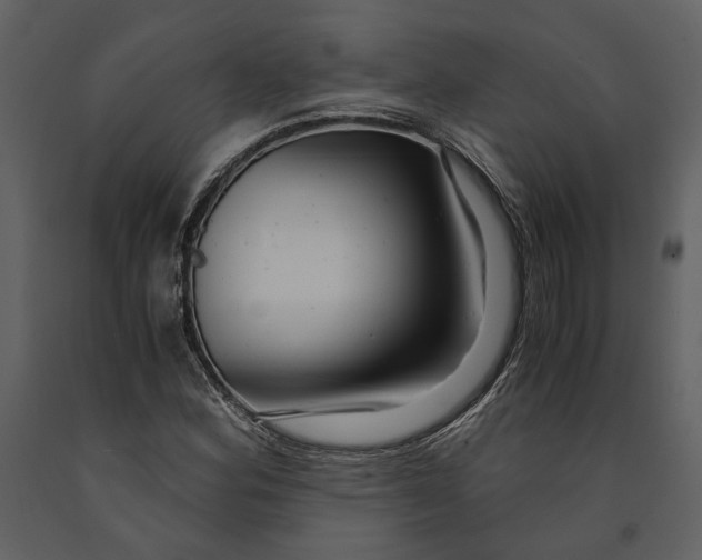 X0000090961164200708241146