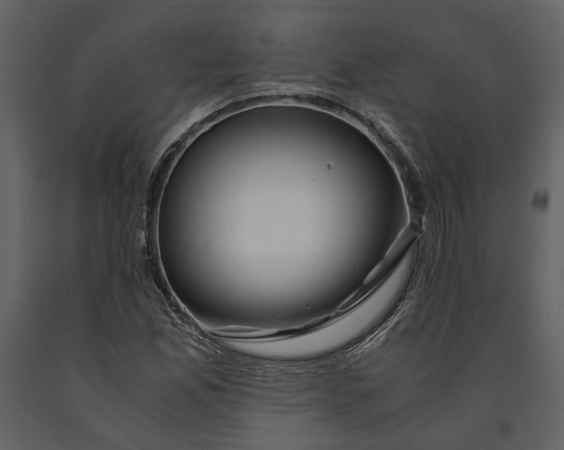 X0000090961165200708241146