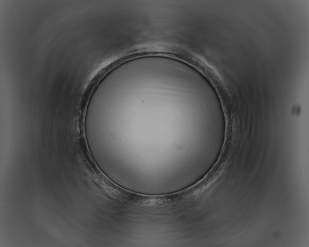 X0000090961166200708241146