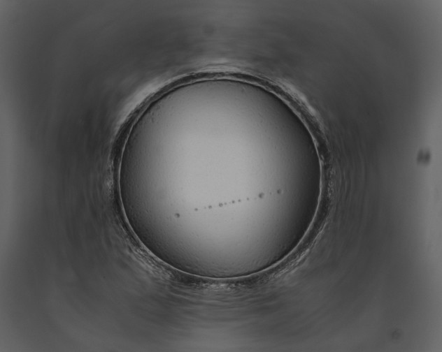 X0000090961167200708241146