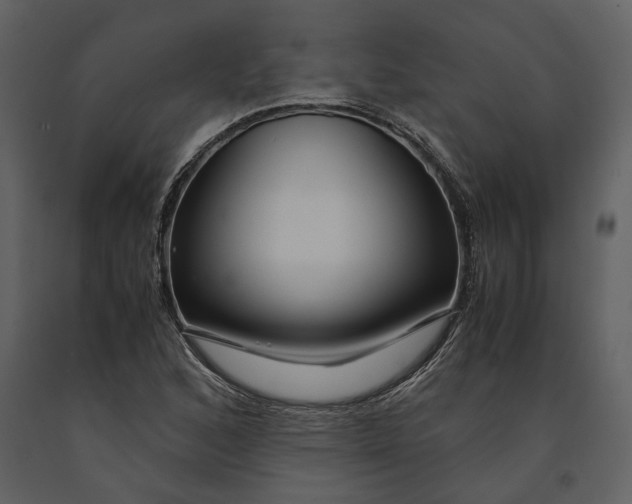 X0000090961168200708241146