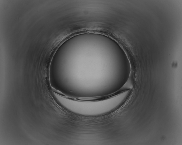 X0000090961169200708241146