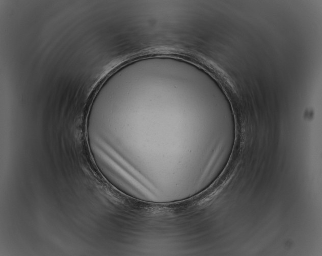 X0000090961170200708241146