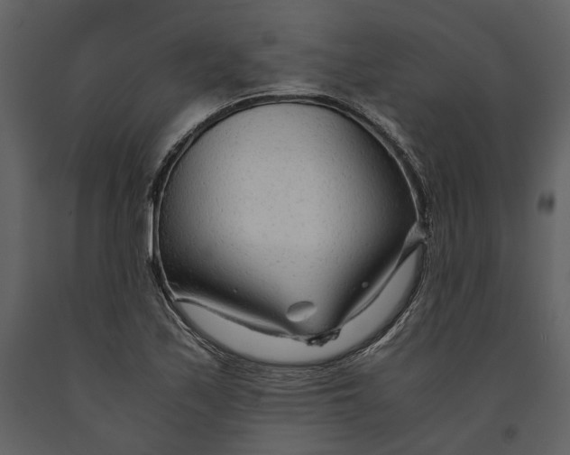 X0000090961171200708241146