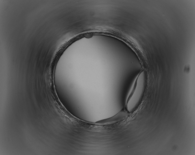 X0000090961172200708241146
