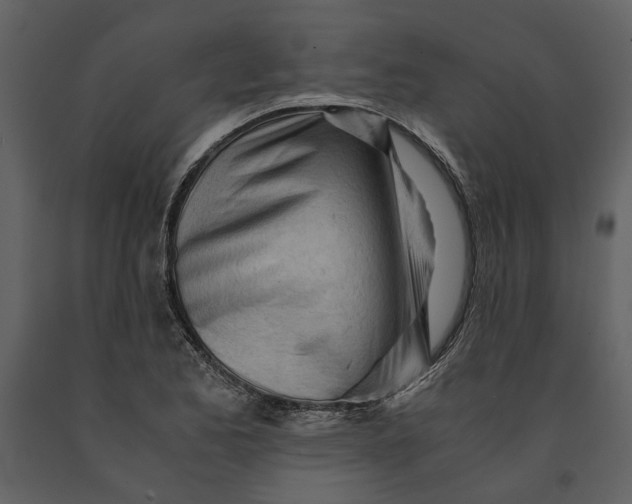 X0000090961173200708241146