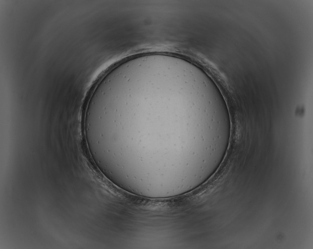 X0000090961174200708241146