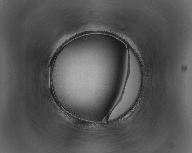 X0000090961175200708241146