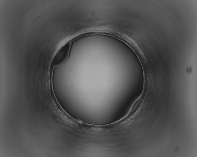 X0000090961176200708241146