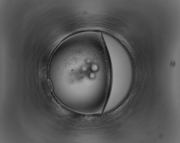 X0000090961177200708241146