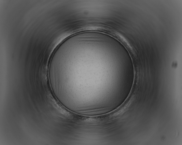X0000090961178200708241146