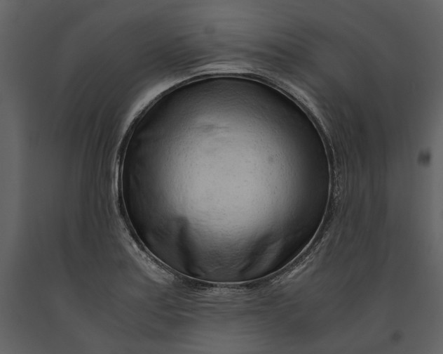 X0000090961179200708241146