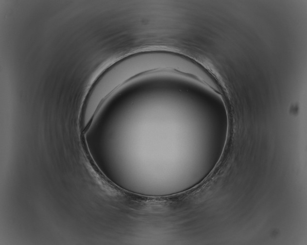 X0000090961181200708241146