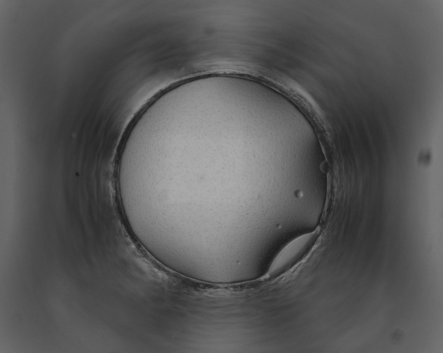 X0000090961182200708241146