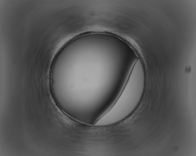 X0000090961183200708241146