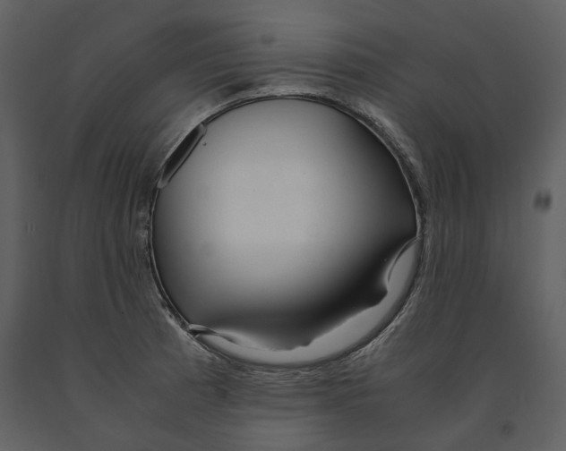 X0000090961185200708241145
